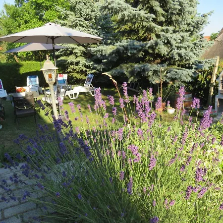 Apartman Art Balaton-gyenesdiás *